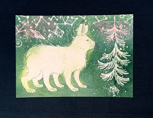 Postikortti, "Taikuri vai huijari"